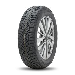 Roadstone Winguard SnowG WH2 185/55R16 87T  XL